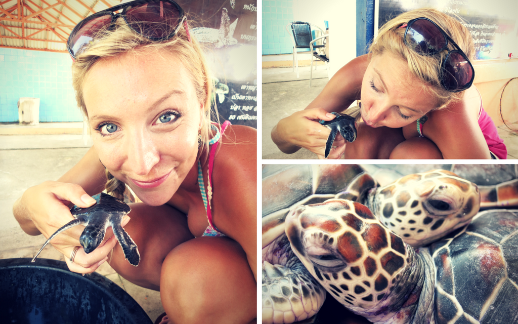 Making new friends at the Turtle Conservation Centre in Khao Lak