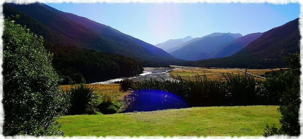 new-zealand-roadtrip-blue-pools-franz-josef-glacier-cameron-flat-campground