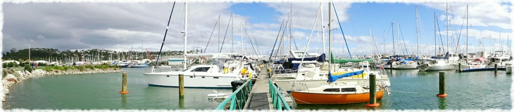 new-zealand-roadtrip-nelson-marina-panorama