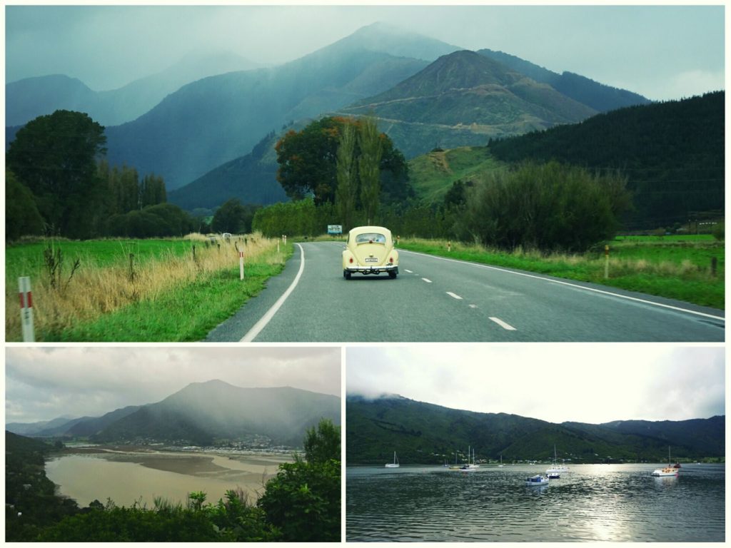 new-zealand-roadtrip-nelson-picton-wellington