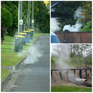 new-zealand-roadtrip-rotorua-steaming-gullies