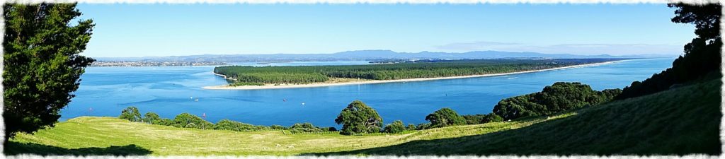 new-zealand-roadtrip-tauranga-mount-maunganui-hillside-panorama