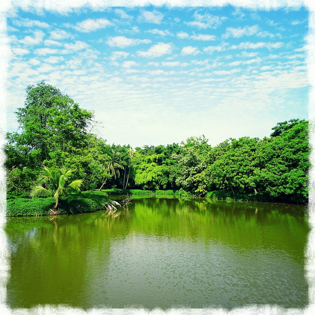 best things bangkok green bike tour khuean khan park