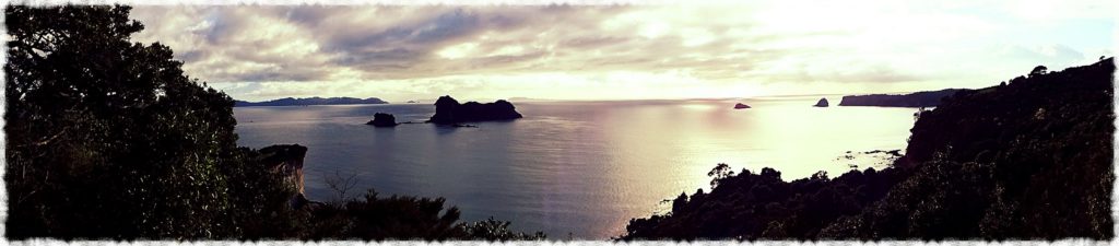 new-zealand-roadtrip-cathedral-cove-car-park-panorama