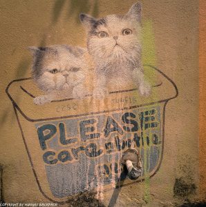 Please care and bath me cats street art mural Penang