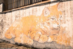 Skippy the cat street art mural Penang