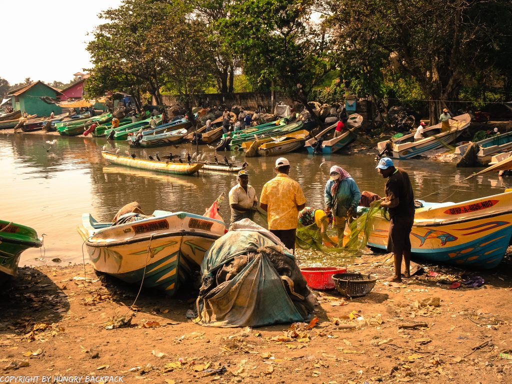 Sri Lanka Trip_Negombo_Fishermen
