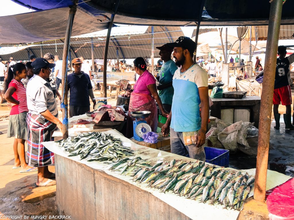 Sri Lanka Trip_Negombo_visit fishmarket
