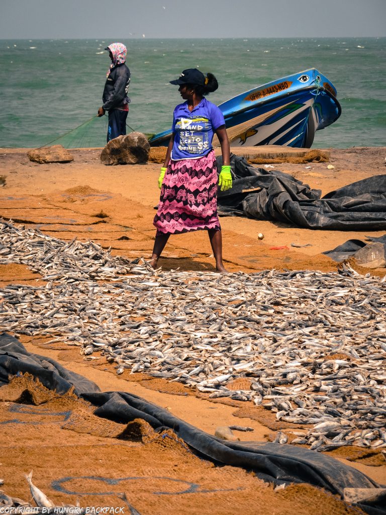 Sri Lanka Trip_Negombo_visit fishmarket_dry fish2