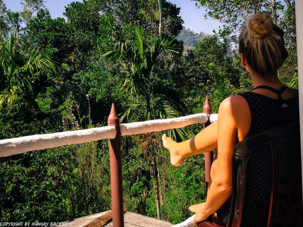 Ella accommodation_Restful Homestay_enjoying jungle views from terrace