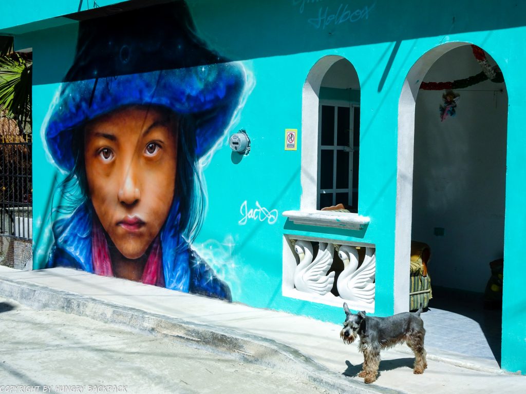 Budget Guide to Holbox_things to do_explore street art