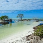 Budget Guide to Holbox_things to do_natural reserve