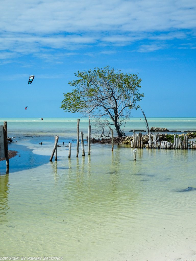 Budget Guide to Holbox_things to do_natural reserve