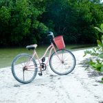 Budget Guide to Holbox_things to do_rent a bicycle