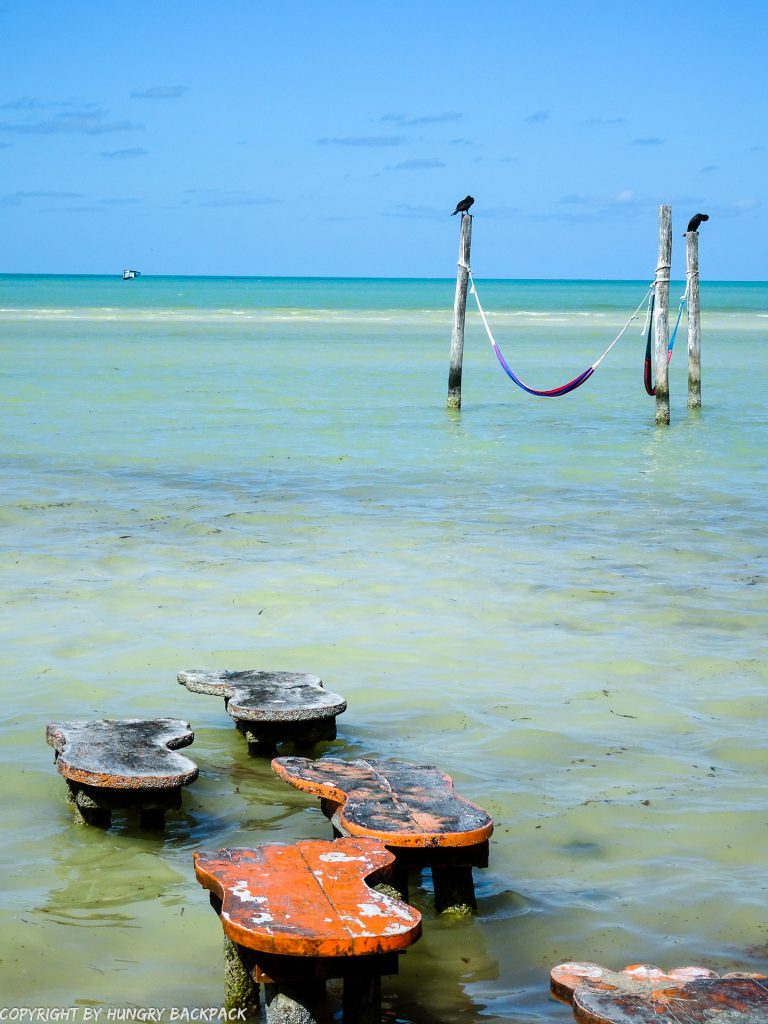 Holbox budget guide_shallow water walk