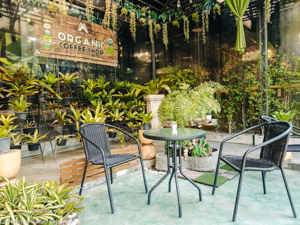 Cafes to work from_chiang mai_Santitham_MDL cafe_garden patio