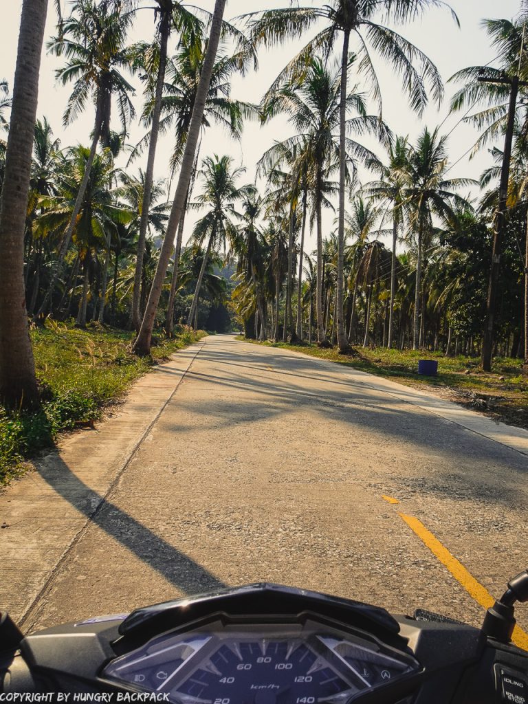 Guide Ko Kut_driving scooter on Koh Kood_paved main road