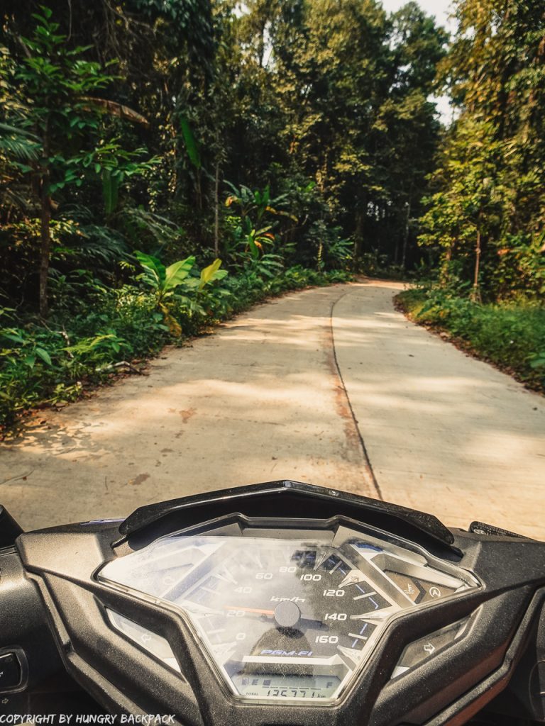Riding a Scooter on Ko Kut's jungle roads