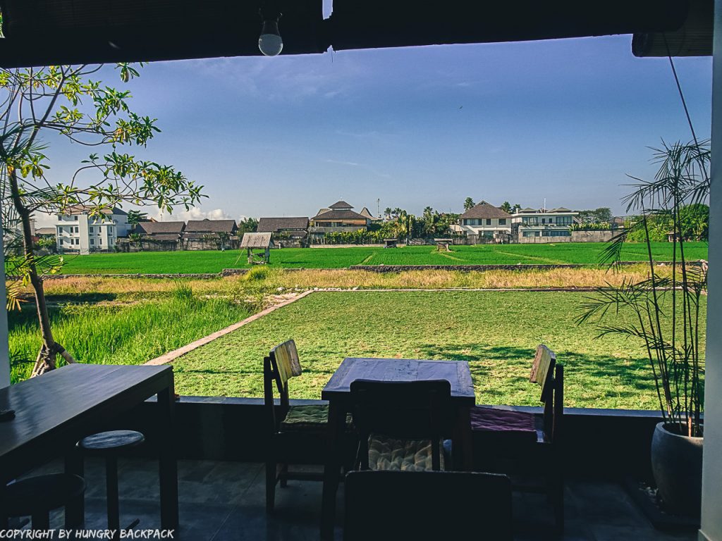 work-friendly cafes Canggu_disctrict cafe_views