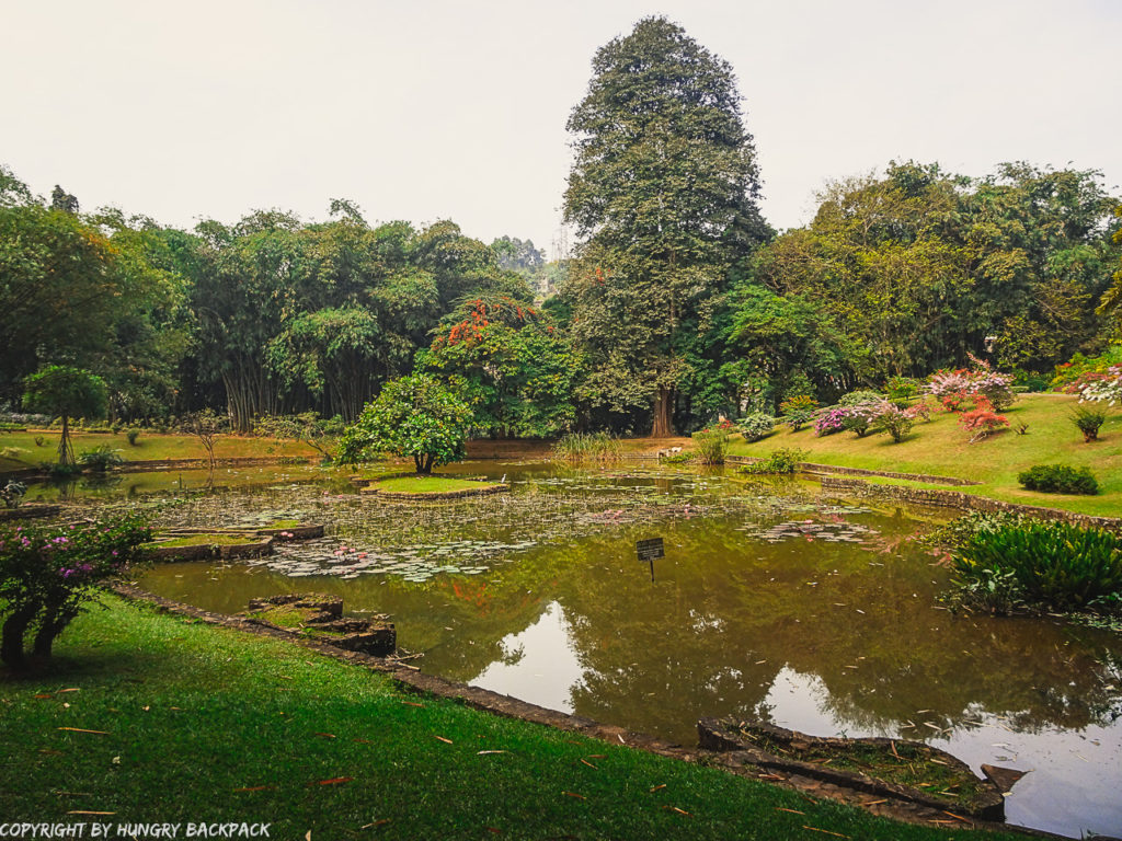 Exploring Kandy by Tuk Tuk_Botanical Garden Kandy Lake