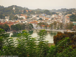 KANDY SIGHTSEEING TOUR BY TUK TUK - GUIDE ON THINGS TO SEE AND DO ...