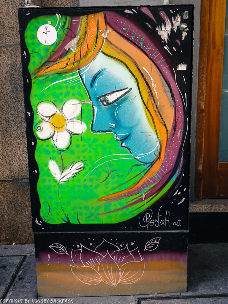 Porto street art_Rua das Flores_electrical box_costah flower girl2