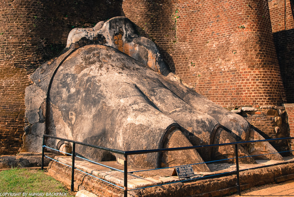 Dambulla things to do_hike up Sigiriya_lion paw