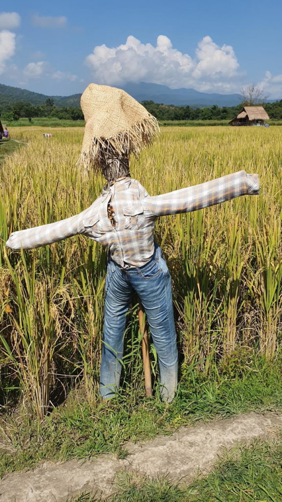 Huay Tueng Tao scarecrow at King Kong village