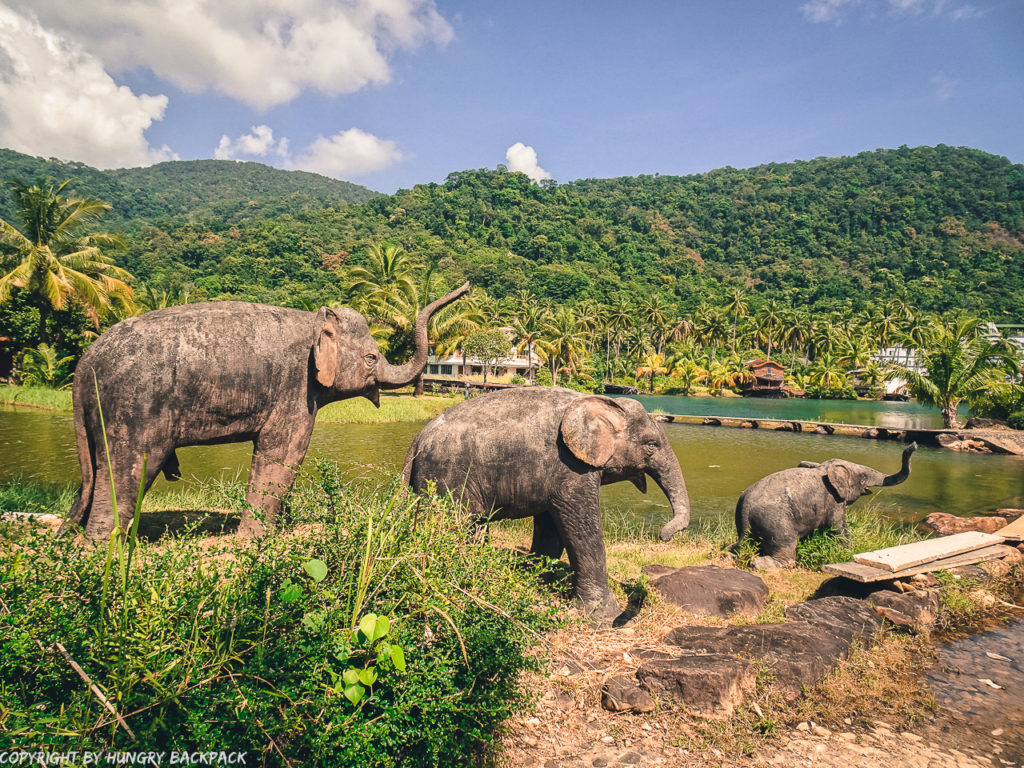 Elephant statues_Grand Lagoona Resort_Koh Chang