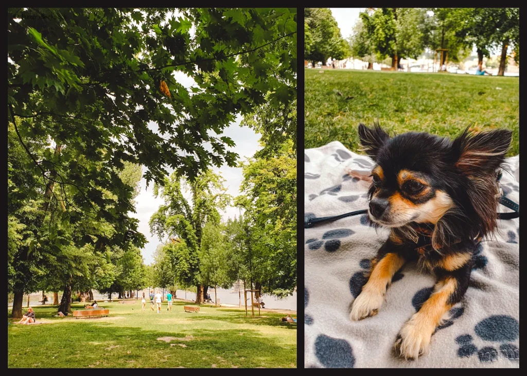 Prague with Dog_Relaxing in Park