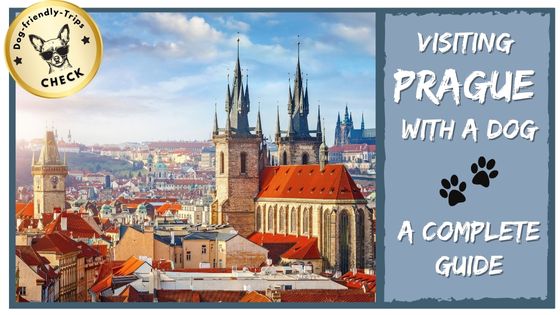 Visiting Prague with a Dog: A Complete and Detailed Guide